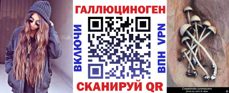 закладки  Обнинск  Псилоцибиновые грибы Cubensis 