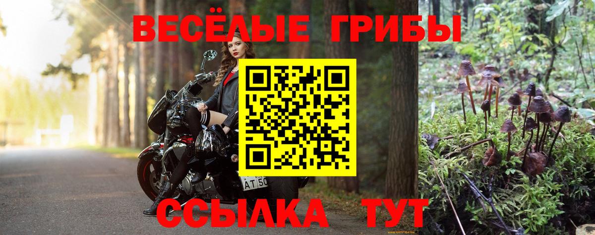 Псилоцибиновые грибы мицелий  Галлюциногенные грибы MAGIC MUSHROOMS  Обнинск  Вход с VPN 